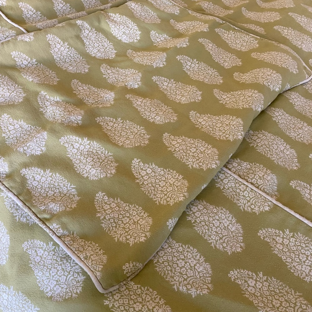 Pottery Barn Olive & White Paisley-Print Duvet Cover And Shams